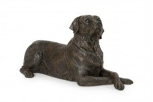 Labrador 2,4 lit. 190,--