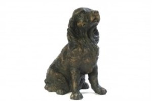 Cocker Spaniel 1,5 L 180,--